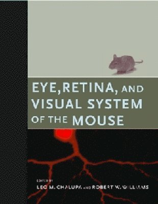 Eye, Retina, and Visual System of the Mouse 1