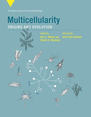 Multicellularity 1