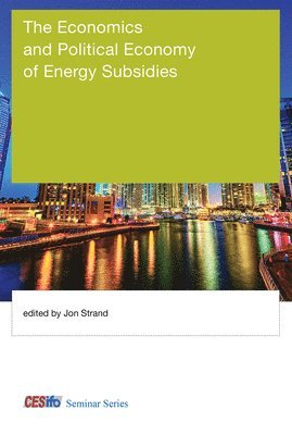 Economics and Political Economy of Energy Subsidies 1