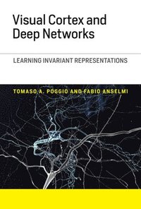 bokomslag Visual Cortex and Deep Networks