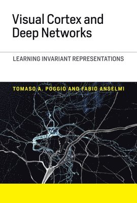 Tomaso A. Poggio, Fabio Anselmi, Massachusetts Institute of Technology) Poggio, Tomaso A. (Professor, Fabio (Massachusetts Institute of Technology) Anselmi - Visual Cortex and Deep Networks, Inbunden
