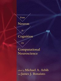 bokomslag From Neuron to Cognition via Computational Neuroscience