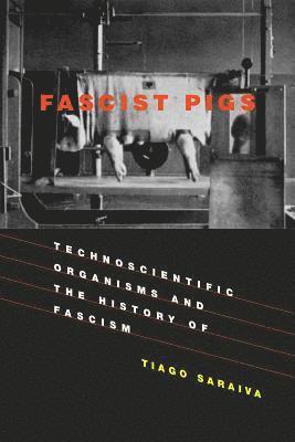 Tiago Saraiva - Fascist Pigs, Inbunden