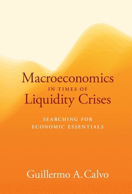 Guillermo A. Calvo - Macroeconomics in Times of Liquidity Crises, Inbunden