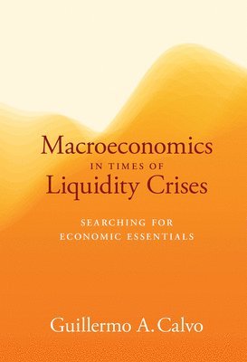 Macroeconomics in Times of Liquidity Crises 1