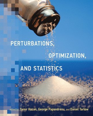 Perturbations, Optimization, and Statistics 1