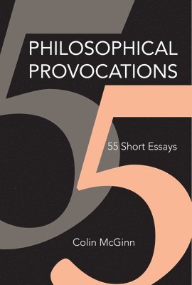 bokomslag Philosophical Provocations