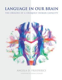 bokomslag Language in Our Brain