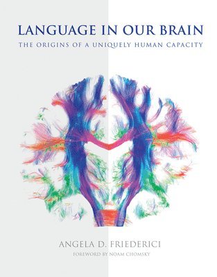 Language in Our Brain 1