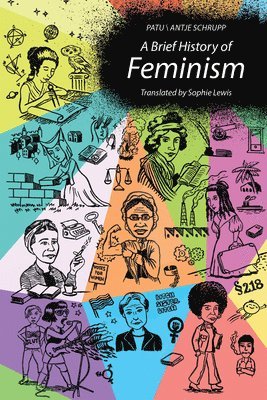bokomslag A Brief History of Feminism