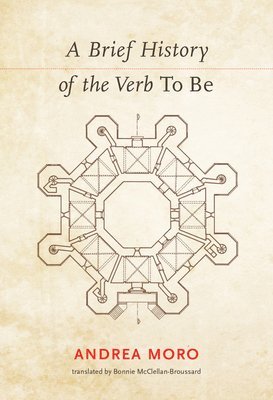 bokomslag A Brief History of the Verb <i>To Be</i>