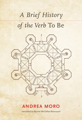 bokomslag A Brief History of the Verb <i>To Be</i>