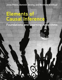 bokomslag Elements of Causal Inference