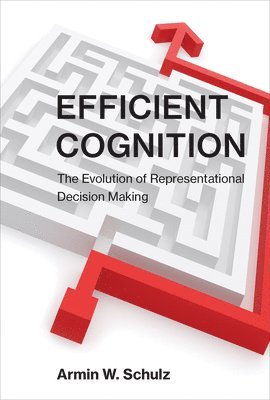 bokomslag Efficient Cognition