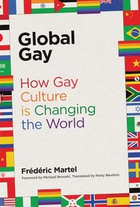 bokomslag Global Gay