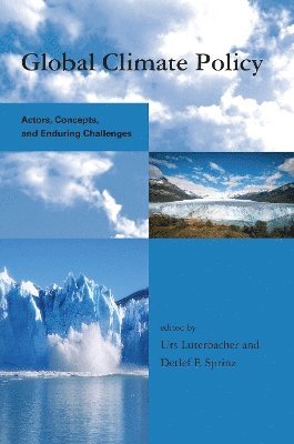 Urs Luterbacher, Detlef F. Sprinz - Global Climate Policy, Inbunden