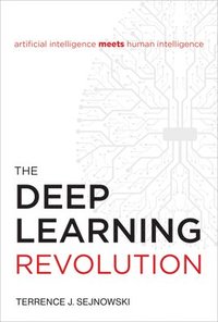 bokomslag The Deep Learning Revolution