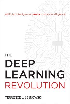The Deep Learning Revolution 1