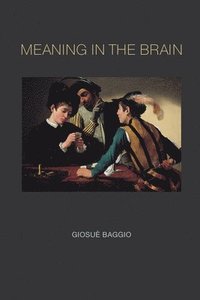 bokomslag Meaning in the Brain