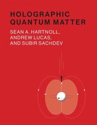 bokomslag Holographic Quantum Matter