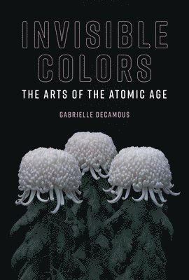 Invisible Colors 1