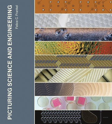 Picturing Science and Engineering