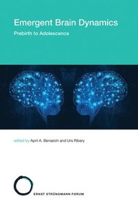 bokomslag Emergent Brain Dynamics: Volume 25