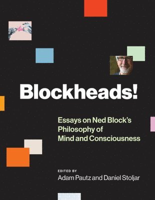 bokomslag Blockheads!