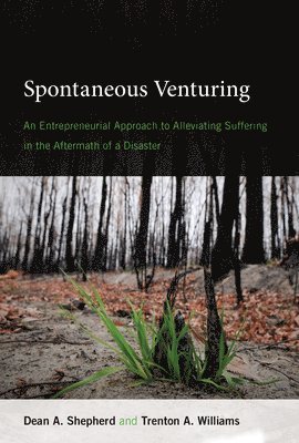 Spontaneous Venturing