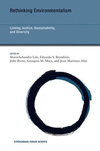 bokomslag Rethinking Environmentalism: Linking Justice, Sustainability, and Diversity