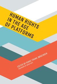 bokomslag Human Rights in the Age of Platforms