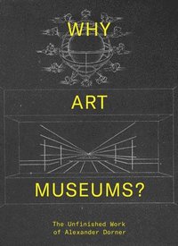 bokomslag Why Art Museums?