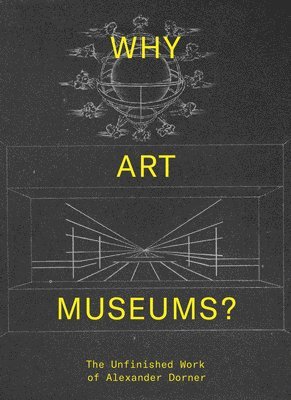 bokomslag Why Art Museums?