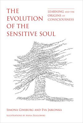 bokomslag Evolution of the Sensitive Soul