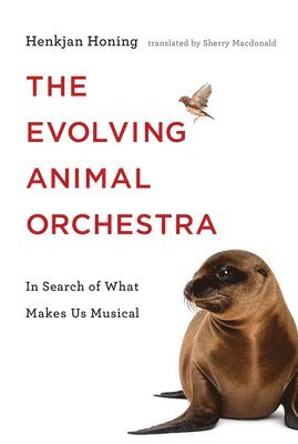 bokomslag Evolving Animal Orchestra