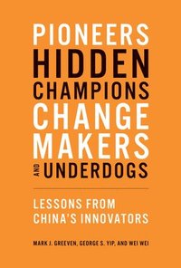bokomslag Pioneers, Hidden Champions, Changemakers, and Underdogs