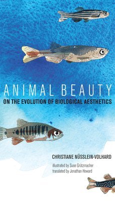 Christiane Nüsslein-Volhard - Animal Beauty, Inbunden