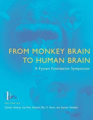 From Monkey Brain to Human Brain 1