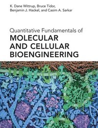 bokomslag Quantitative Fundamentals of Molecular and Cellular Bioengineering