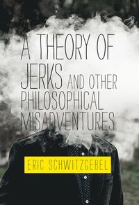 bokomslag A Theory of Jerks and Other Philosophical Misadventures