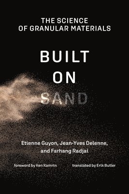 Etienne Guyon, Jean-Yves Delenne - Built on Sand, Inbunden