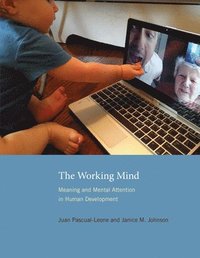 bokomslag The Working Mind