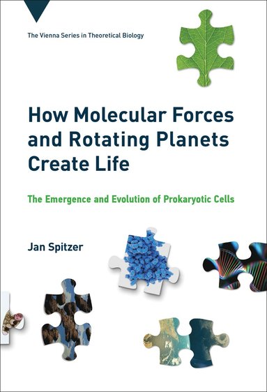 bokomslag How Molecular Forces and Rotating Planets Create Life