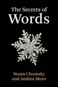 bokomslag The Secrets of Words