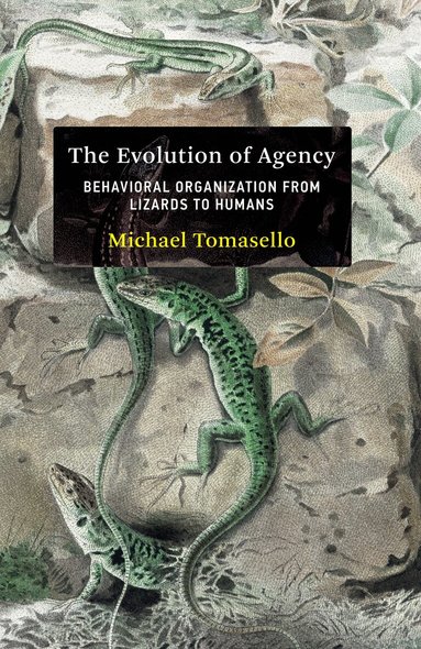 Michael Tomasello - Evolution of Agency, Inbunden