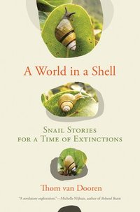 bokomslag A World in a Shell