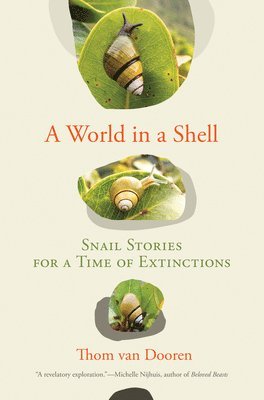 A World in a Shell 1