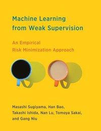 bokomslag Machine Learning from Weak Supervision