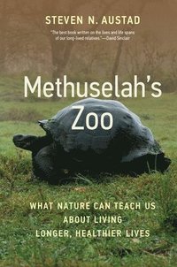 bokomslag Methuselah's Zoo