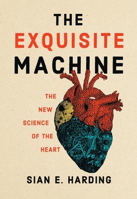 The Exquisite Machine 1